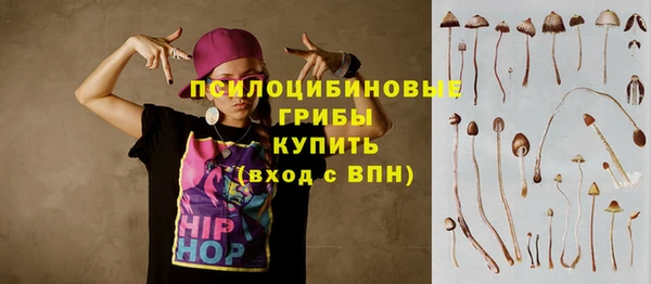 2c-b Осинники
