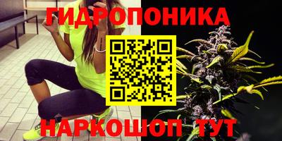 трава Пенза