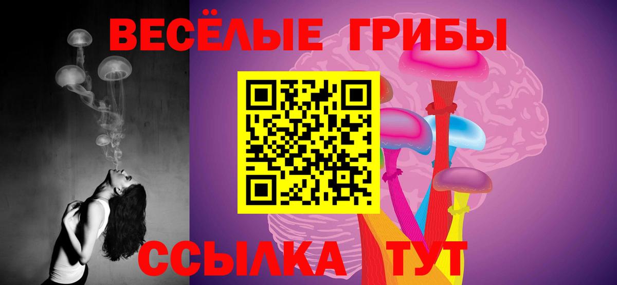 Темрюк  Псилоцибиновые грибы GOLDEN TEACHER  Вход с VPN  хочу   Псилоцибиновые грибы Magic Shrooms 